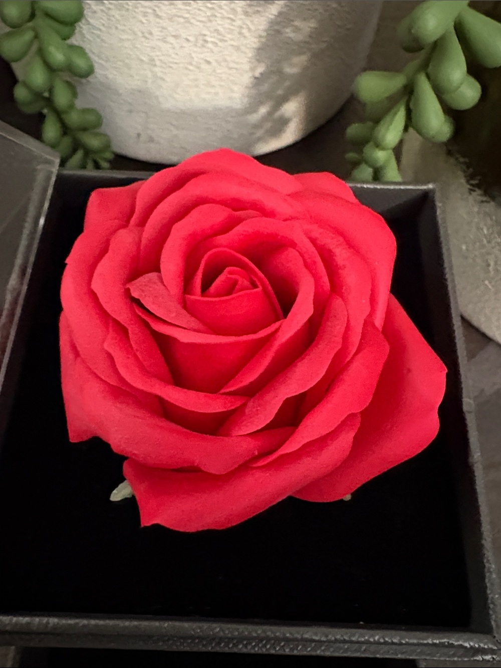 Red Rose Display Box - Picture 4 of 6